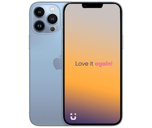 iPhone 13 Pro Max